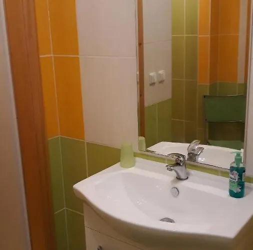 招待所 U Kovare 库特纳霍拉